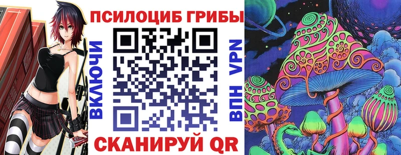 Галлюциногенные грибы Cubensis  Нерчинск 